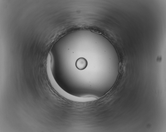 X0000112831012200909111352