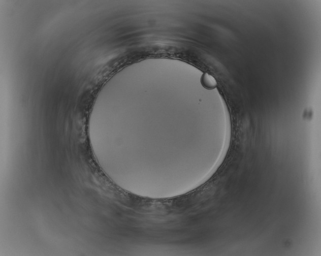 X0000112831013200909111352