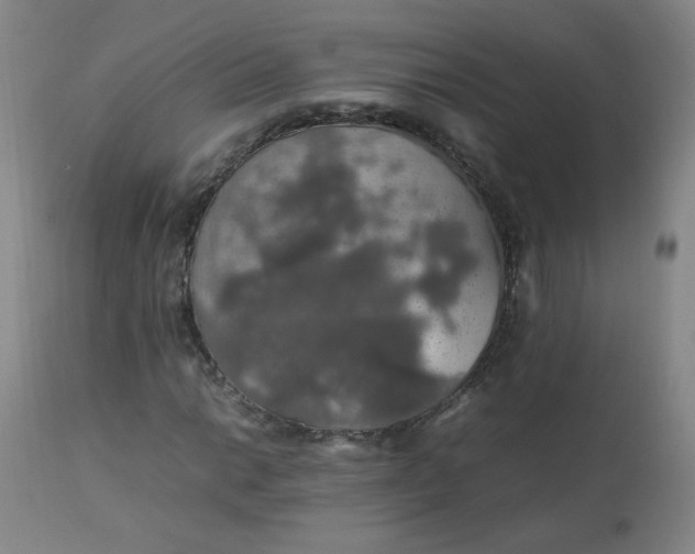 X0000112831014200909111352