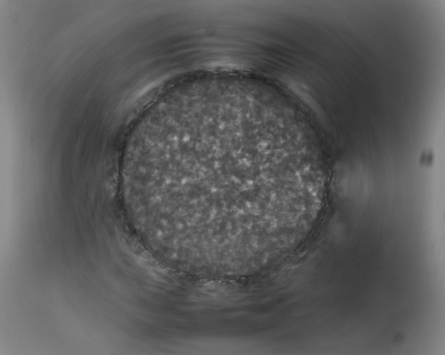 X0000112831015200909111352