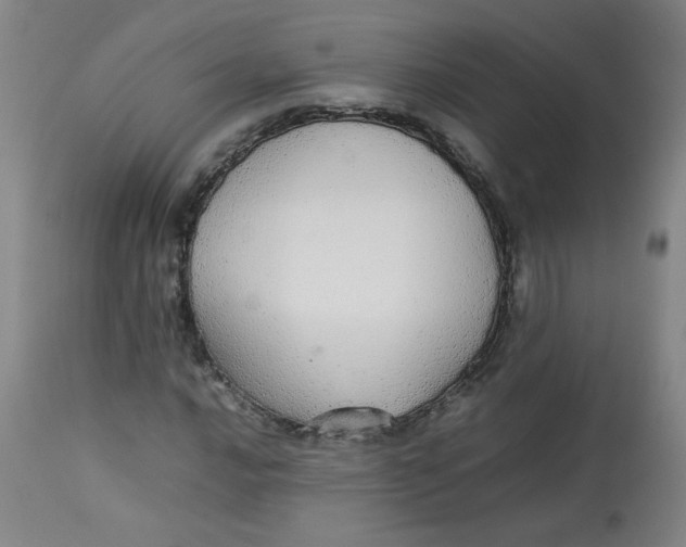 X0000112831016200909111352