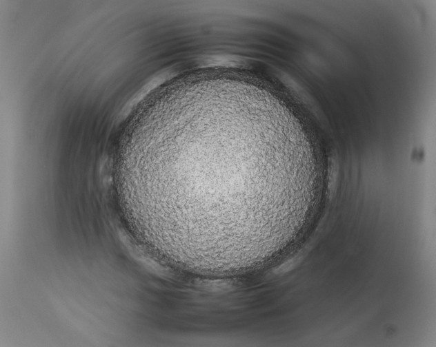 X0000112831017200909111352