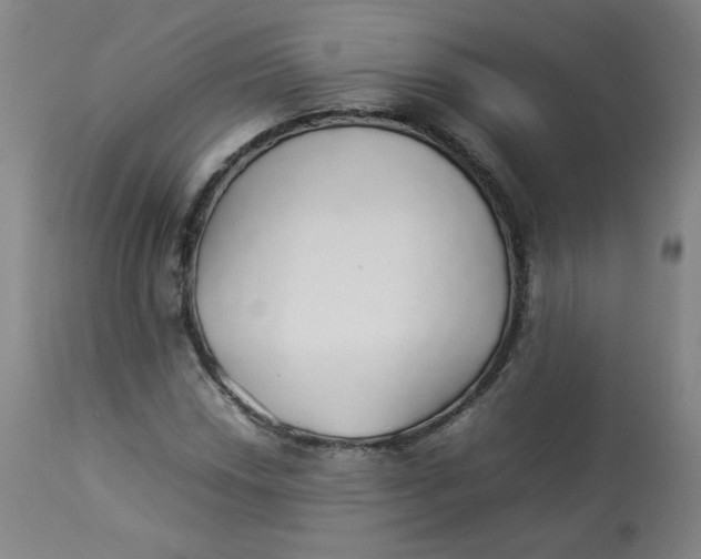 X0000112831018200909111352