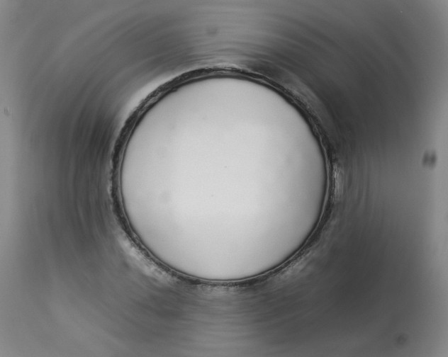 X0000112831020200909111352