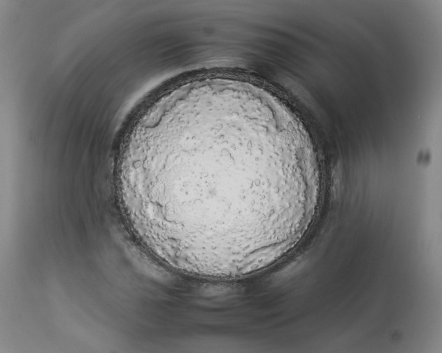 X0000112831021200909111352