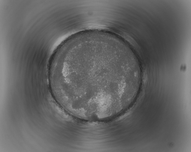 X0000112831022200909111353