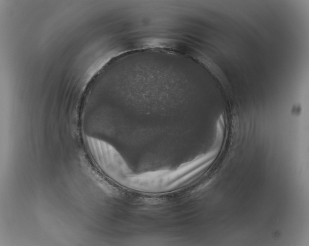 X0000112831023200909111353