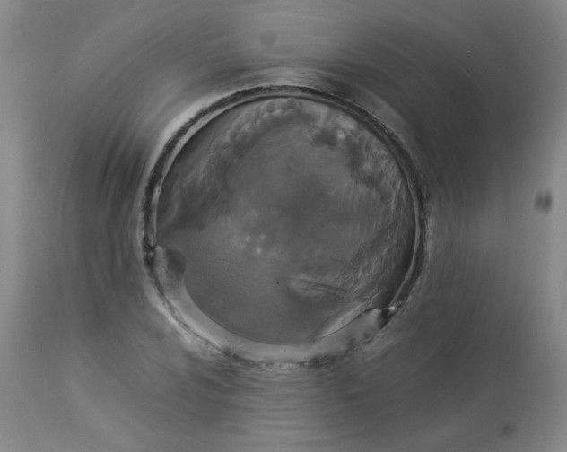 X0000112831024200909111353