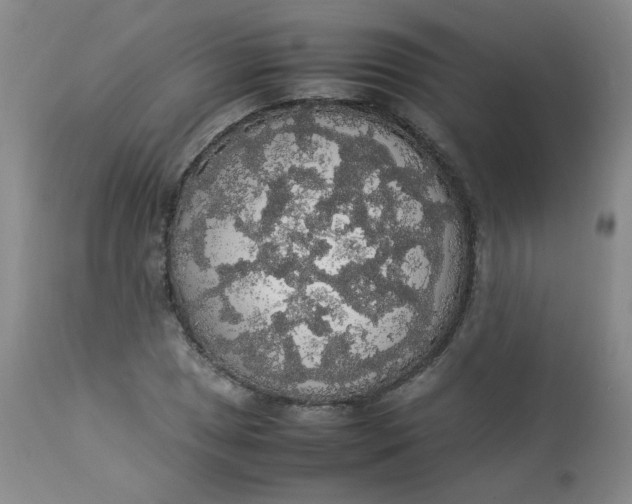 X0000112831025200909111353