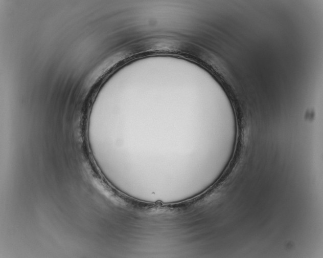 X0000112831026200909111353