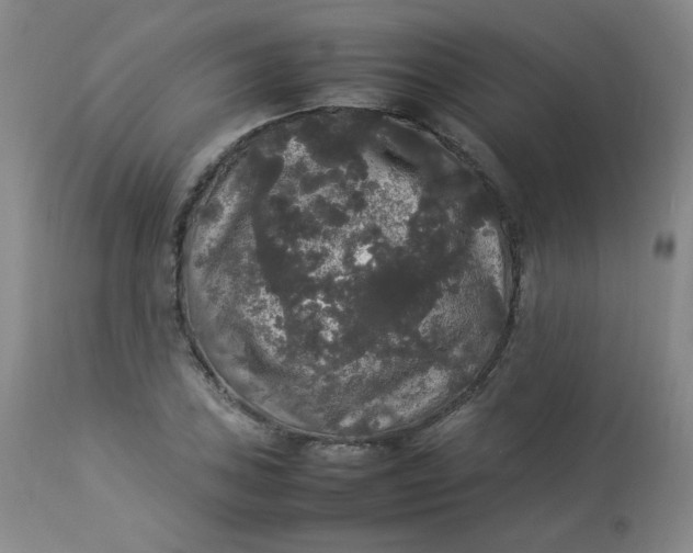 X0000112831027200909111353