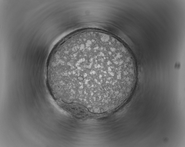 X0000112831028200909111353