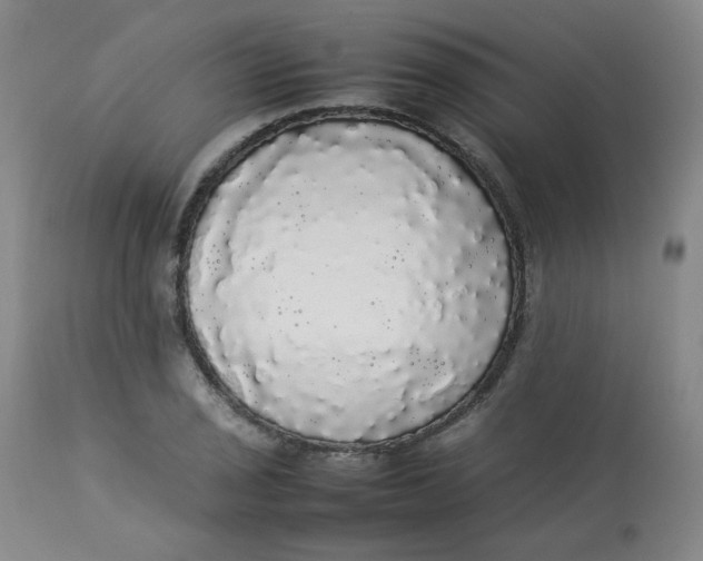 X0000112831029200909111353