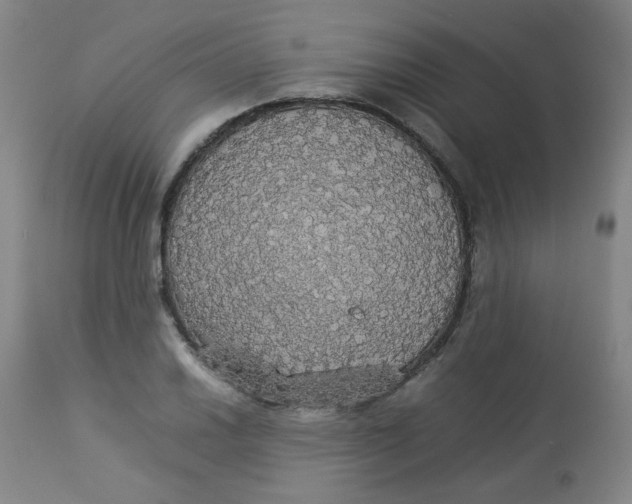 X0000112831030200909111353