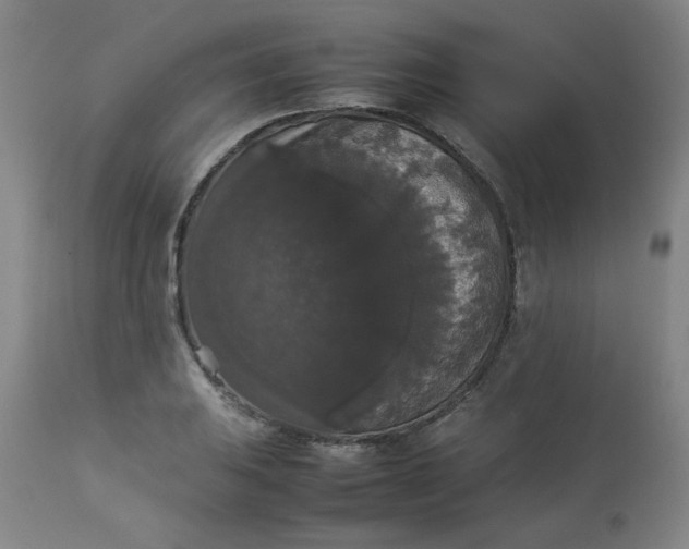 X0000112831031200909111353