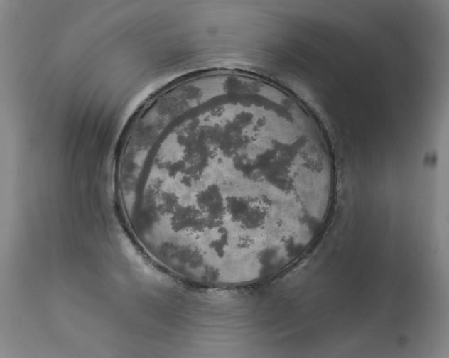 X0000112831032200909111353