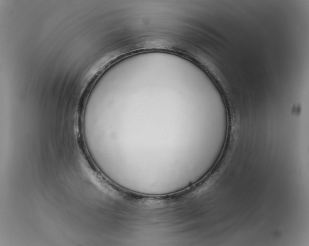 X0000112831034200909111353