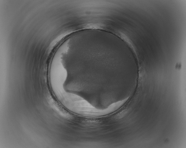 X0000112831035200909111353