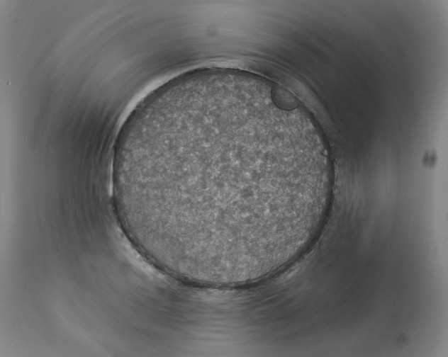 X0000112831036200909111353