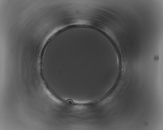 X0000112831037200909111353