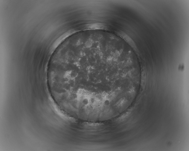 X0000112831039200909111353