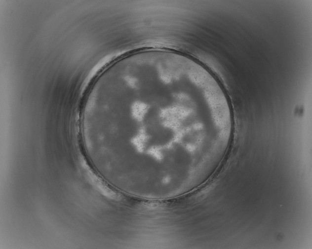 X0000112831040200909111353