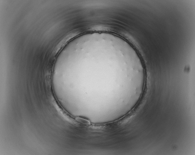 X0000112831041200909111353