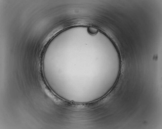 X0000112831042200909111353