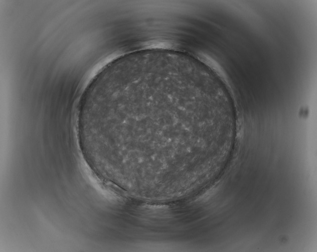 X0000112831043200909111353