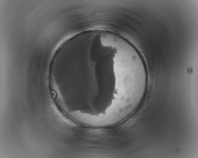 X0000112831045200909111353