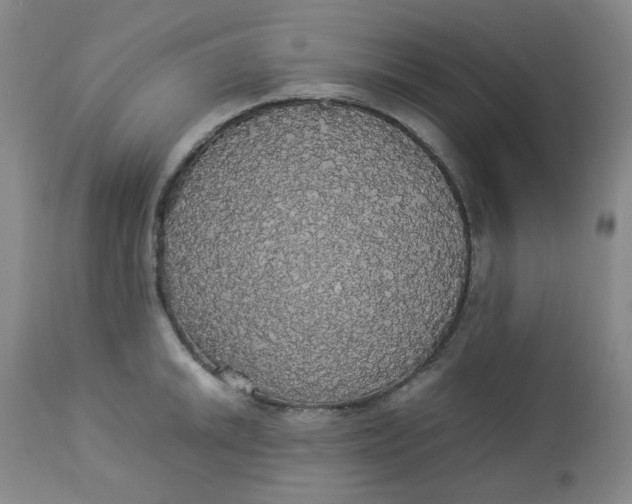 X0000112831046200909111353