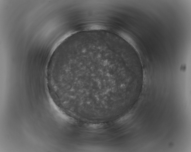 X0000112831047200909111353