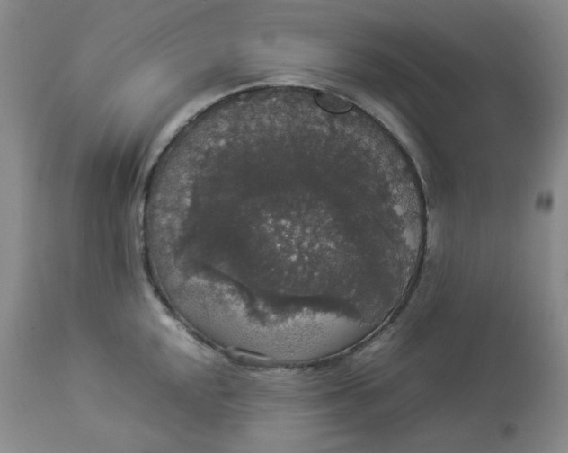 X0000112831048200909111353