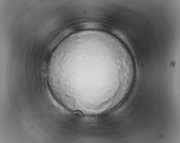 X0000112831049200909111353