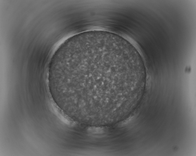 X0000112831051200909111353