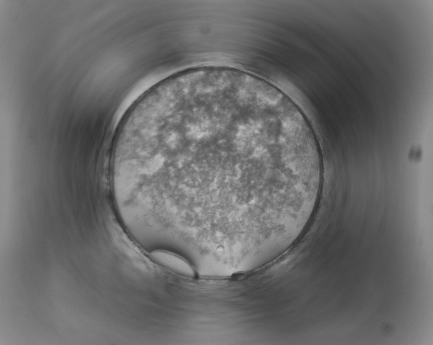 X0000112831052200909111353