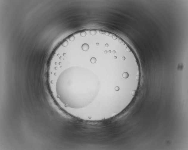 X0000112831053200909111353