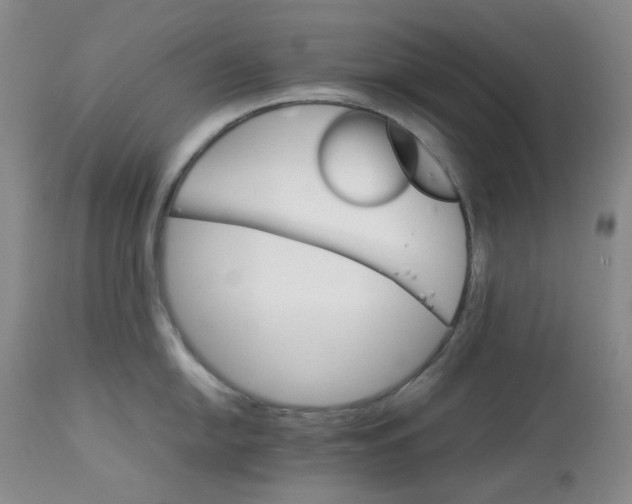 X0000112831054200909111353