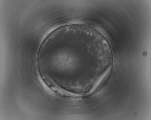 X0000112831055200909111353