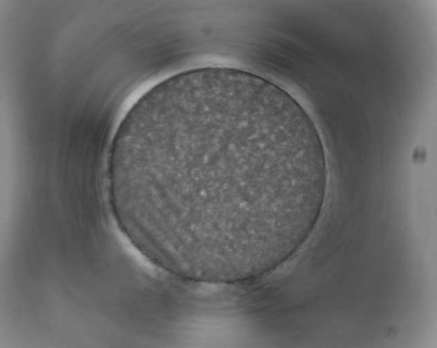 X0000112831056200909111353