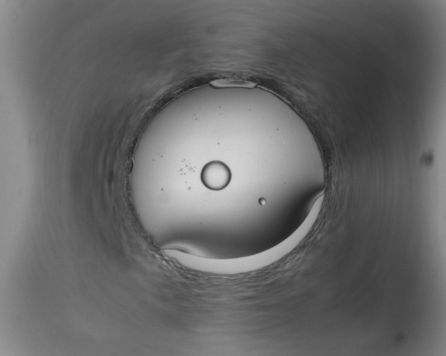 X0000112831057200909111352