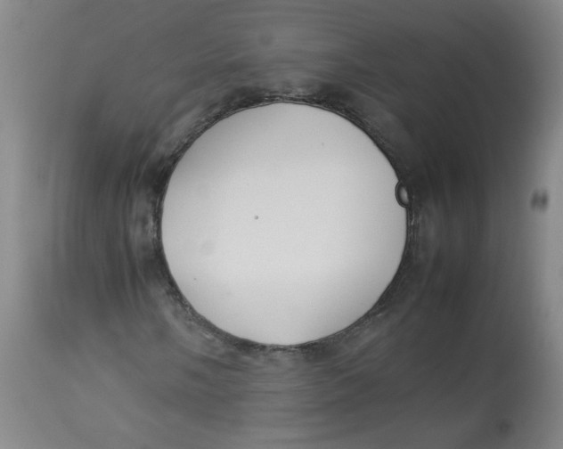 X0000112831058200909111352