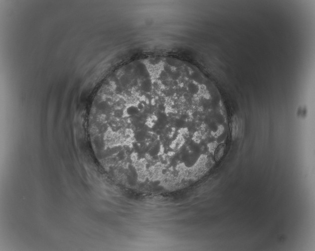 X0000112831059200909111352