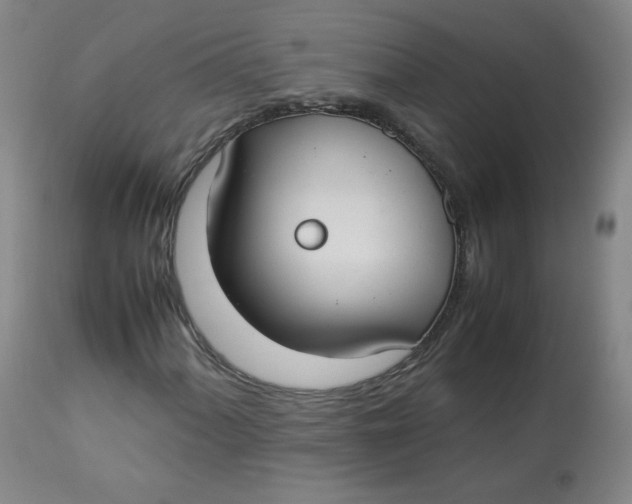 X0000112831060200909111352