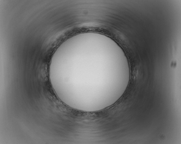 X0000112831062200909111352