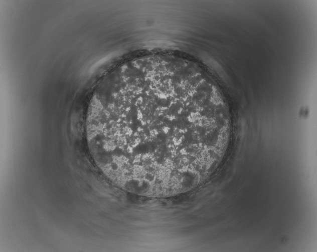 X0000112831063200909111352