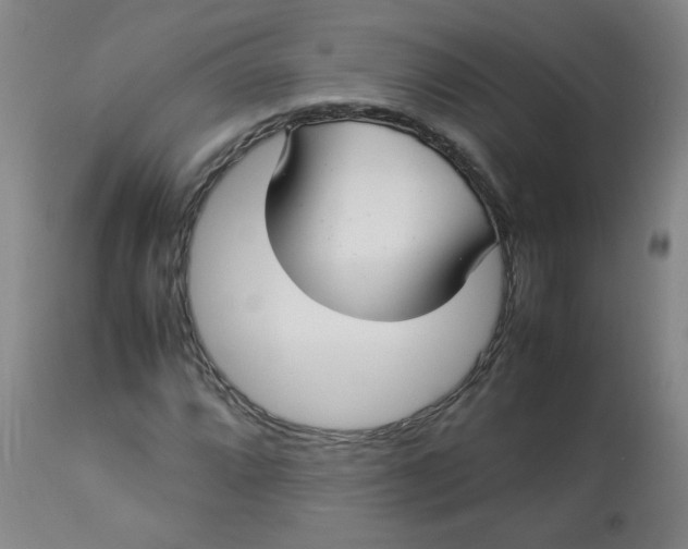 X0000112831064200909111352