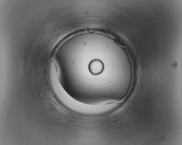 X0000112831065200909111352