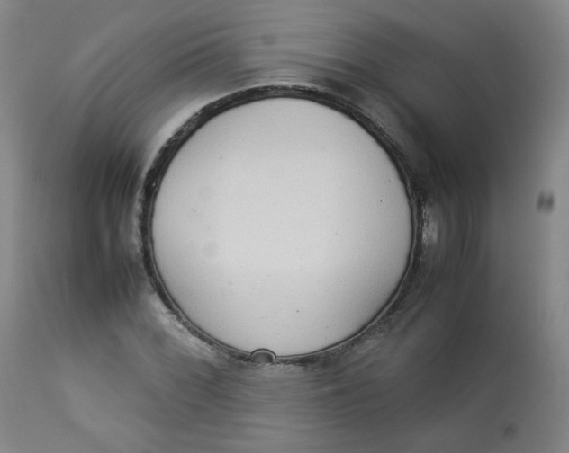 X0000112831068200909111352