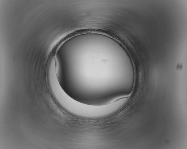 X0000112831069200909111352